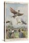 New Sport in California, Birdmen Launch Themselves from High Springboards-Achille Beltrame-Stretched Canvas