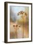 New Spring Light II-Michael Marcon-Framed Art Print