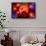 New Star Formation in a Vast Gaseous Nebula-null-Framed Stretched Canvas displayed on a wall