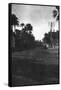 New Street, Baghdad, 1918-null-Framed Stretched Canvas