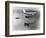 New Tactical Fighters Bound for Vietnam-null-Framed Photographic Print