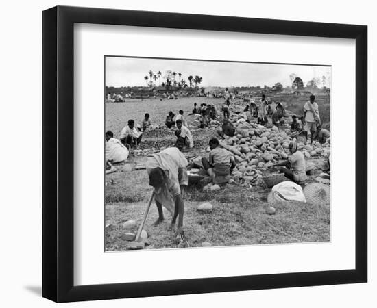 New Taxi-Strip Foundations are Laid by Natives of Assam Valley, Doubling China-India Air Traffic-William Vandivert-Framed Photographic Print