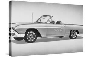 New Thunderbird in Showroom-null-Stretched Canvas