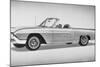 New Thunderbird in Showroom-null-Mounted Photographic Print
