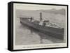 New Torpedo-Boat Built for the British Government-null-Framed Stretched Canvas