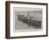 New Torpedo-Boat Built for the British Government-null-Framed Giclee Print