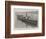 New Torpedo-Boat Built for the British Government-null-Framed Giclee Print