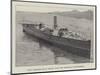 New Torpedo-Boat Built for the British Government-null-Mounted Giclee Print