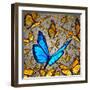 New Vision-digitalista-Framed Premium Photographic Print