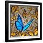 New Vision-digitalista-Framed Photographic Print