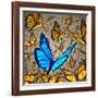 New Vision-digitalista-Framed Photographic Print