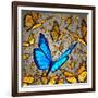 New Vision-digitalista-Framed Photographic Print