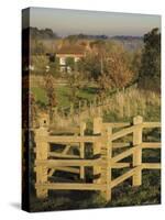 New Wooden Kissing Gate, Heart of England Way Footpath, Tanworth in Arden, Warwickshire, England-David Hughes-Stretched Canvas