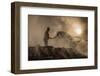 New world creation-Adrian Popan-Framed Photographic Print