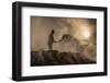 New world creation-Adrian Popan-Framed Photographic Print