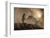 New world creation-Adrian Popan-Framed Photographic Print