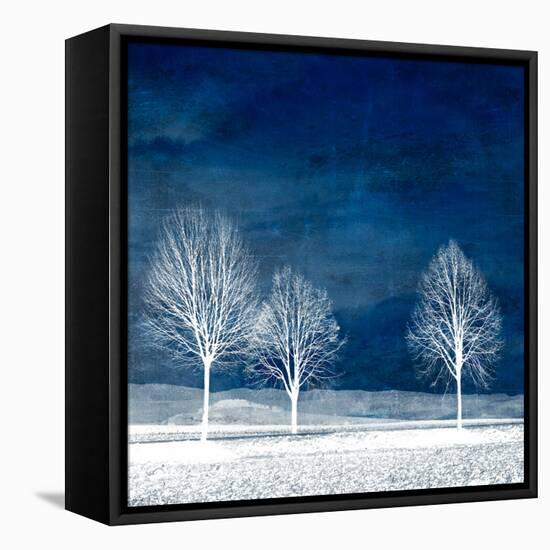 New World-Philippe Sainte-Laudy-Framed Stretched Canvas