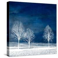 New World-Philippe Sainte-Laudy-Stretched Canvas