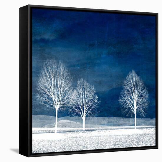 New World-Philippe Sainte-Laudy-Framed Stretched Canvas