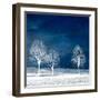 New World-Philippe Sainte-Laudy-Framed Photographic Print