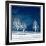 New World-Philippe Sainte-Laudy-Framed Photographic Print