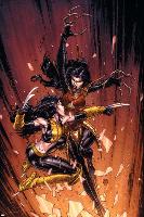 New X-Men No.45 Cover: X-23 and Lady Deathstrike-David Finch-Lamina Framed Poster