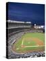 New Yankee Stadium, Located in the Bronx, New York, United States of America, North America-Donald Nausbaum-Stretched Canvas