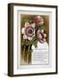 New Year Greetings Card With Floral Decoration and Poem by R. N. Milnes-W. Dickes-Framed Giclee Print