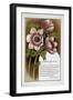 New Year Greetings Card With Floral Decoration and Poem by R. N. Milnes-W. Dickes-Framed Giclee Print