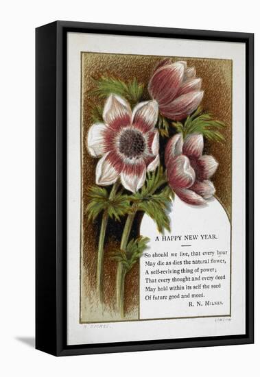 New Year Greetings Card With Floral Decoration and Poem by R. N. Milnes-W. Dickes-Framed Stretched Canvas