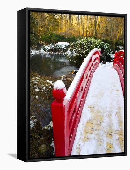 New Year's Day in Asian Garden, Mill Creek, Snohomish County, Washington, Usa-Richard Duval-Framed Stretched Canvas