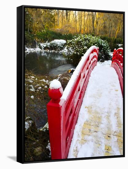 New Year's Day in Asian Garden, Mill Creek, Snohomish County, Washington, Usa-Richard Duval-Framed Stretched Canvas