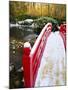New Year's Day in Asian Garden, Mill Creek, Snohomish County, Washington, Usa-Richard Duval-Mounted Photographic Print