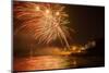 New Year's Eve Fireworks, Kings Beach, Sunshine Coast, Queensland, Australia-Mark A Johnson-Mounted Photographic Print