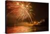 New Year's Eve Fireworks, Kings Beach, Sunshine Coast, Queensland, Australia-Mark A Johnson-Stretched Canvas