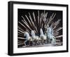 New Year's Fireworks above the Quadriga at the Brandenburg Gate in Berlin, Germany, c.2007-Michael Sohn-Framed Photographic Print