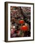 New Years Crowd Winds Beyond the Confucious Temple, Nanjing, Jiangsu Province, China-Charles Crust-Framed Photographic Print