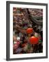 New Years Crowd Winds Beyond the Confucious Temple, Nanjing, Jiangsu Province, China-Charles Crust-Framed Photographic Print
