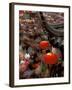 New Years Crowd Winds Beyond the Confucious Temple, Nanjing, Jiangsu Province, China-Charles Crust-Framed Photographic Print