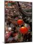 New Years Crowd Winds Beyond the Confucious Temple, Nanjing, Jiangsu Province, China-Charles Crust-Mounted Premium Photographic Print