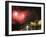 New Years Eve 2006, Opera House and Sydney Harbour, Sydney, New South Wales, Australia-Kober Christian-Framed Photographic Print