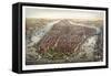 New York, 1873-null-Framed Stretched Canvas