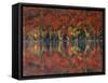 New York, Adirondack Mts, Fall and Fog Reflecting in Heart Lake-Christopher Talbot Frank-Framed Stretched Canvas