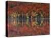 New York, Adirondack Mts, Fall and Fog Reflecting in Heart Lake-Christopher Talbot Frank-Stretched Canvas