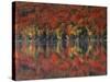 New York, Adirondack Mts, Fall and Fog Reflecting in Heart Lake-Christopher Talbot Frank-Stretched Canvas