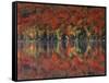 New York, Adirondack Mts, Fall and Fog Reflecting in Heart Lake-Christopher Talbot Frank-Framed Stretched Canvas