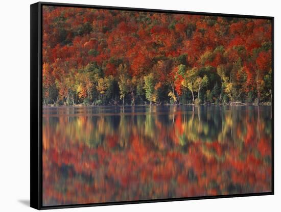New York, Adirondack Mts, Fall and Fog Reflecting in Heart Lake-Christopher Talbot Frank-Framed Stretched Canvas