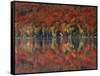 New York, Adirondack Mts, Fall and Fog Reflecting in Heart Lake-Christopher Talbot Frank-Framed Stretched Canvas