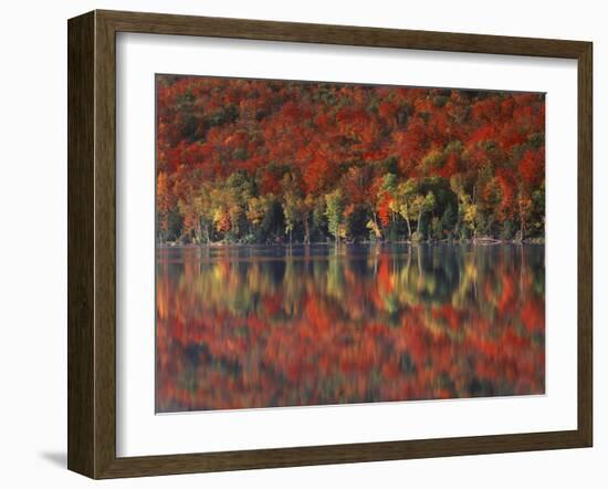 New York, Adirondack Mts, Fall and Fog Reflecting in Heart Lake-Christopher Talbot Frank-Framed Premium Photographic Print