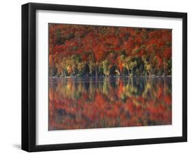 New York, Adirondack Mts, Fall and Fog Reflecting in Heart Lake-Christopher Talbot Frank-Framed Premium Photographic Print